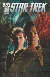 IDW Star Trek #20